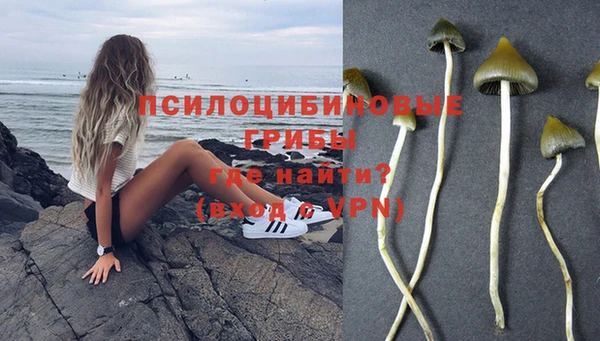 скорость mdpv Абаза