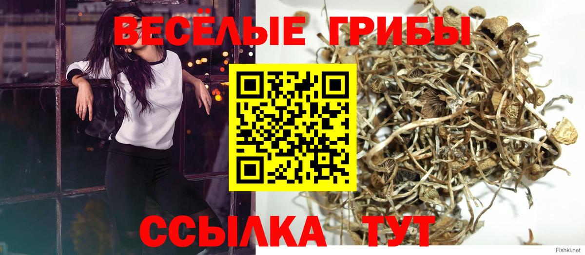 Галлюциногенные грибы GOLDEN TEACHER Южноуральск